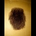 Pubic Hair Patch
